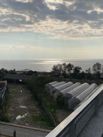 23F66971-131D-4EAC-B77D-963415BE662E