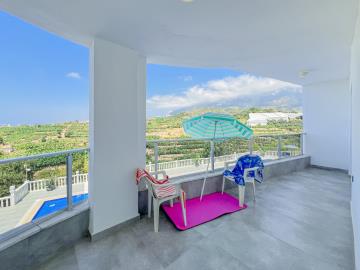 WhatsApp-Image-2026-01-02-at-11-04-51--11-