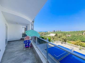 WhatsApp-Image-2026-01-02-at-11-04-51--12-