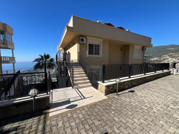 WhatsApp-Image-2025-01-27-at-12-25-20