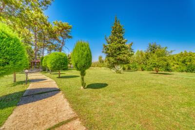 16a02914-da89-44cc-a412-99141a057814