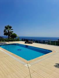 WhatsApp-Image-2026-01-16-at-14-46-21