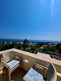 WhatsApp-Image-2026-01-16-at-14-46-27--1-