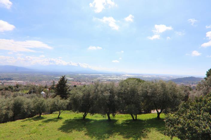 Image No.6-Villa de 4 chambres à vendre à Eboli