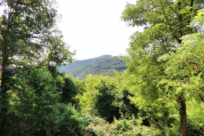 Image No.46-5 Bed Country House for sale