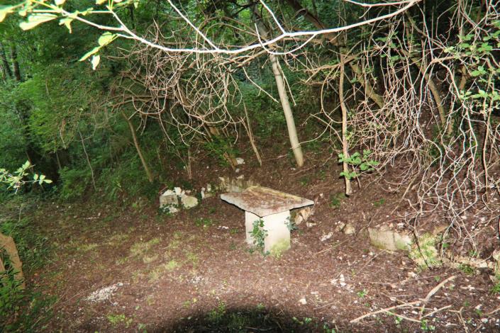 Image No.60-5 Bed Country House for sale