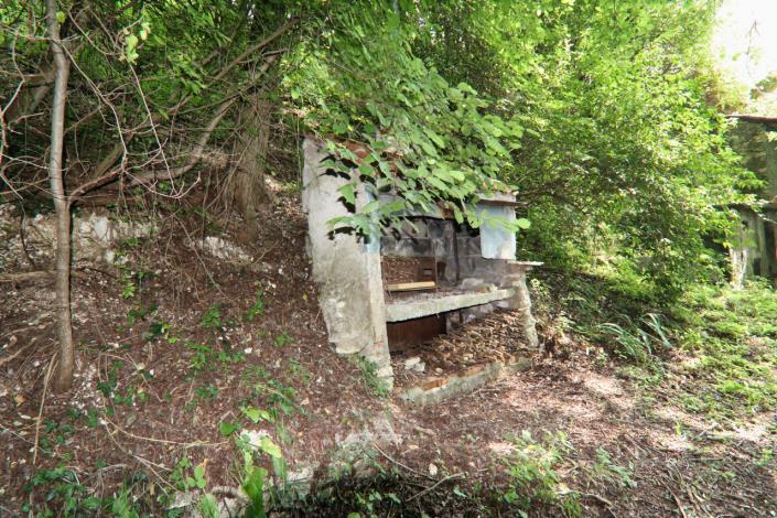 Image No.59-5 Bed Country House for sale