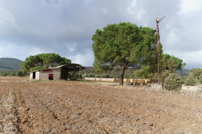 Image No.52-3 Bed Country House for sale