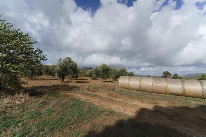 Image No.58-3 Bed Country House for sale