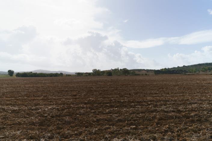 Image No.61-3 Bed Country House for sale