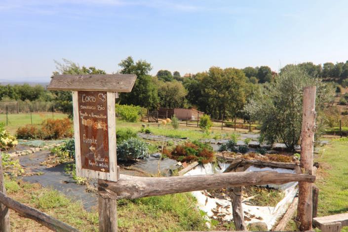 Image No.58-6 Bed Country House for sale