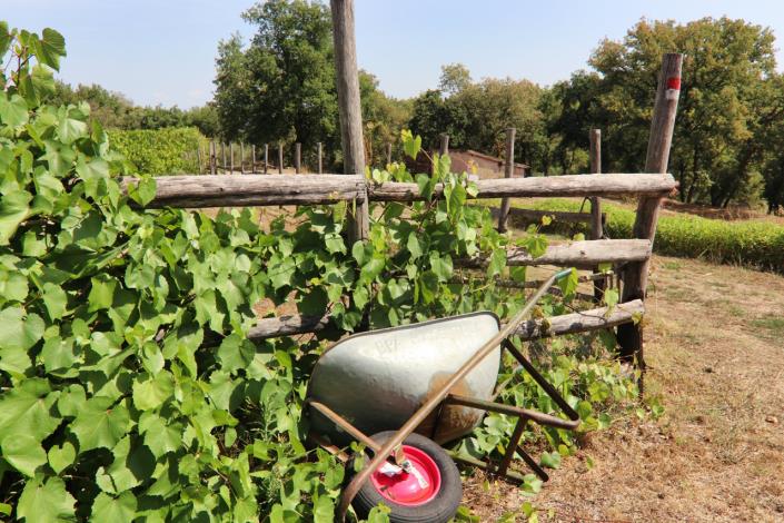 Image No.59-6 Bed Country House for sale