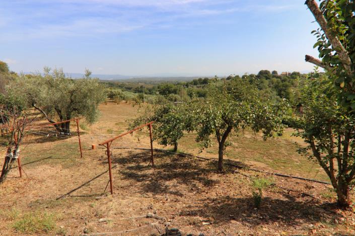 Image No.60-6 Bed Country House for sale