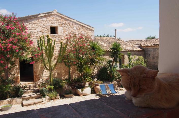 Image No.32-7 Bed Country House for sale