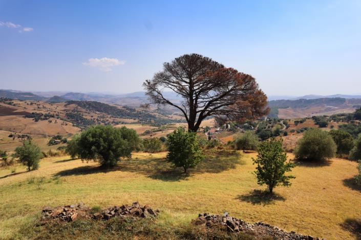 Image No.20-Maison de campagne de 1 chambre à vendre à Enna