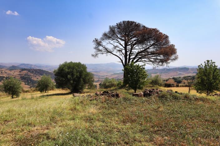 Image No.56-Maison de campagne de 1 chambre à vendre à Enna