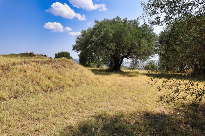 Image No.58-Maison de campagne de 1 chambre à vendre à Enna