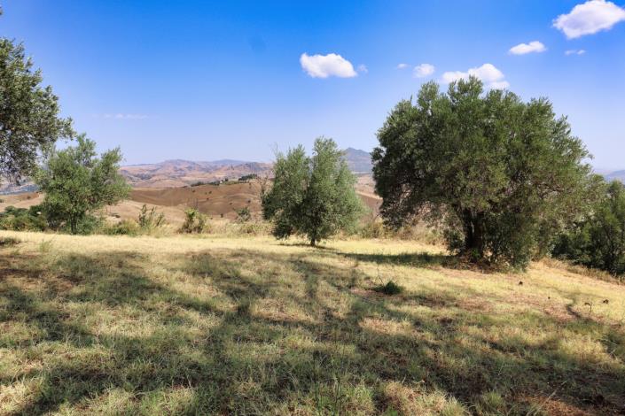 Image No.59-Maison de campagne de 1 chambre à vendre à Enna