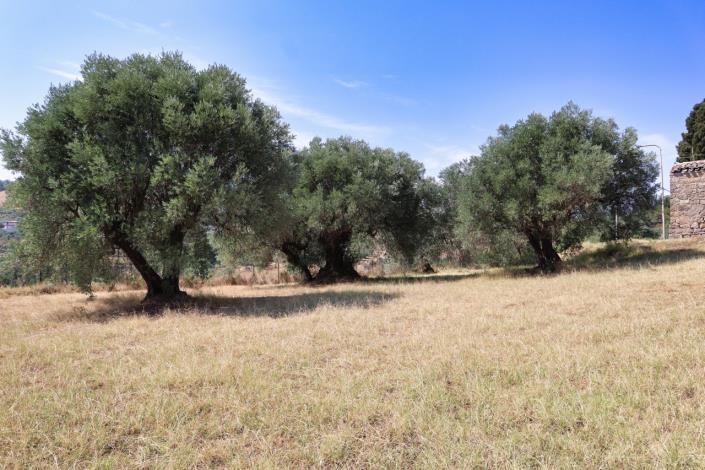 Image No.60-Maison de campagne de 1 chambre à vendre à Enna