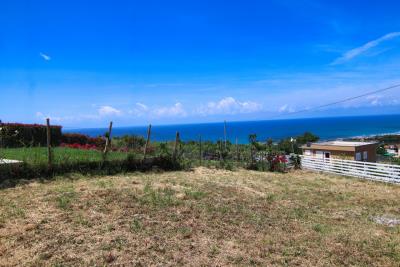 011__giardino__11