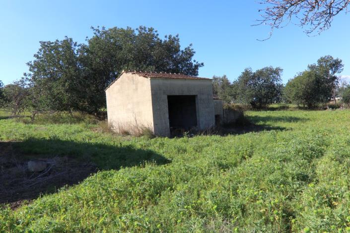 Image No.42-2 Bed Country House for sale