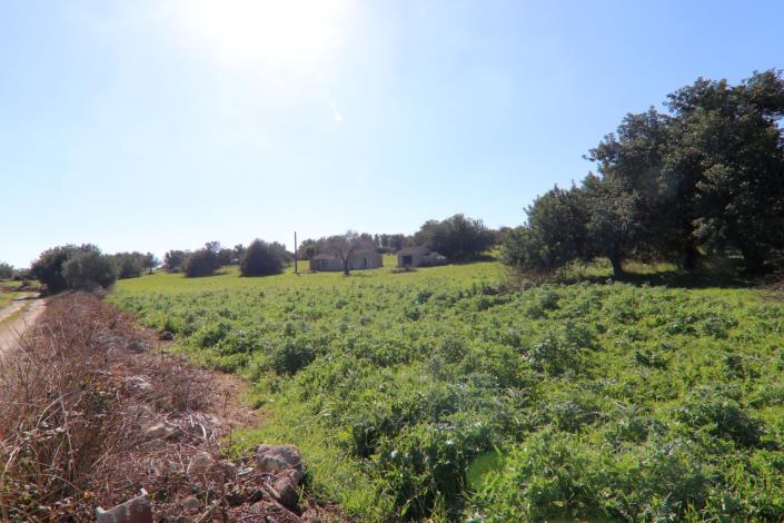 Image No.45-2 Bed Country House for sale