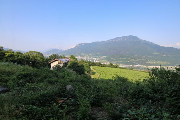 Image No.10-4 Bed House for sale