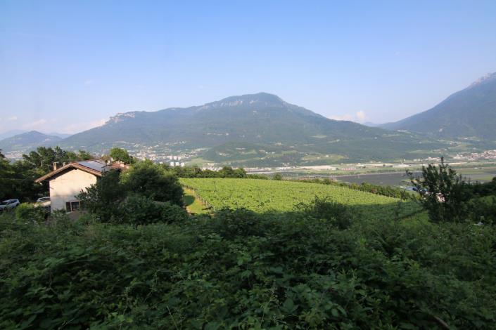 Image No.11-4 Bed House for sale