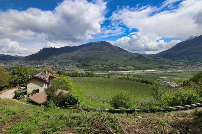 Image No.14-4 Bed House for sale