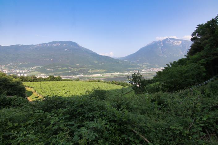 Image No.16-4 Bed House for sale