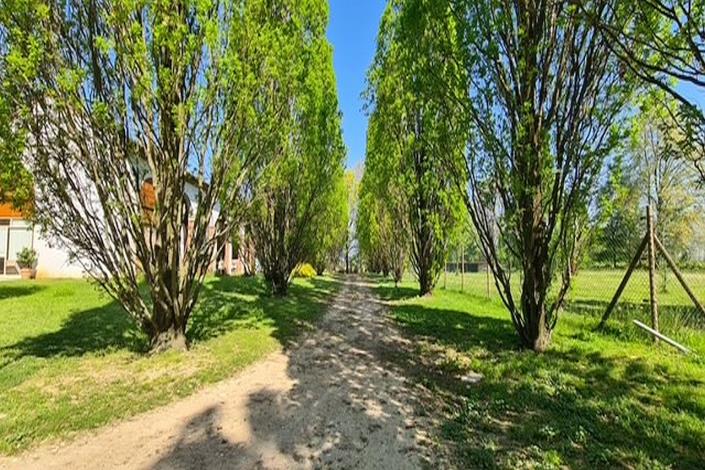 Image No.23-Maison de campagne de 4 chambres à vendre à Trévise