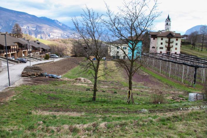 Image No.5-Land for sale