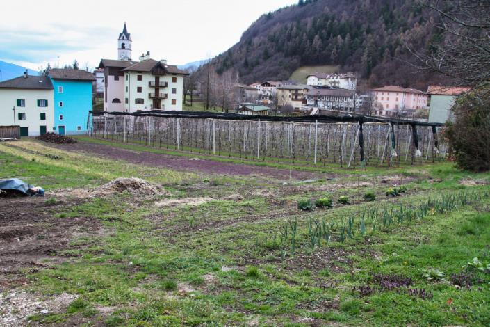 Image No.6-Land for sale