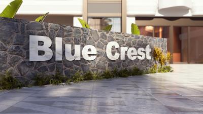 Blue_1---Photo