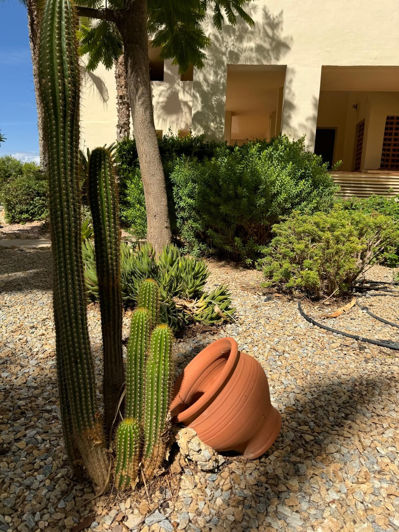 Image No.24-Appartement de 3 chambres à vendre à Roda Golf