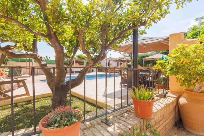 Image No.36-4 Bed Finca for sale
