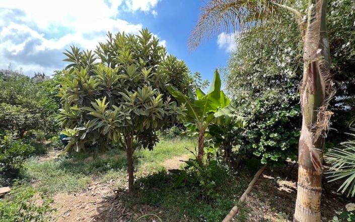 Image No.15-3 Bed Villa / Detached for sale