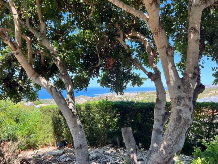 Image No.19-3 Bed Villa for sale