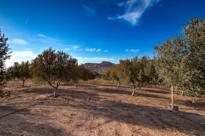 Image No.32-4 Bed Property for sale