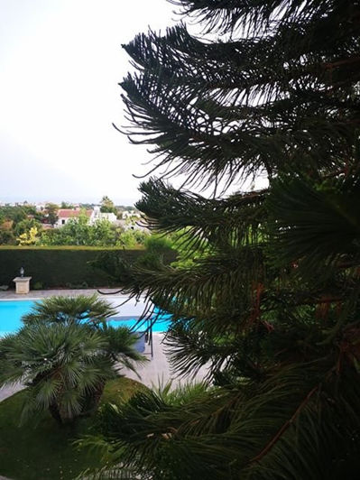 Image No.21-6 Bed Villa for sale