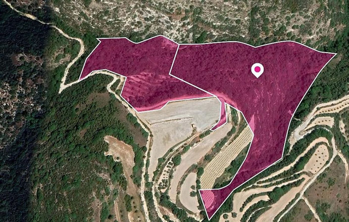 Image No.3-Terre à vendre à Theletra