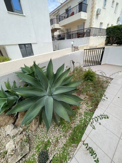 Image No.14-Propriété de 2 chambres à vendre à Paphos