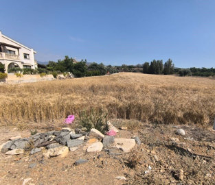 hd1080