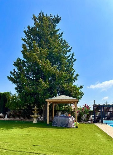 Image No.14-7 Bed Villa for sale