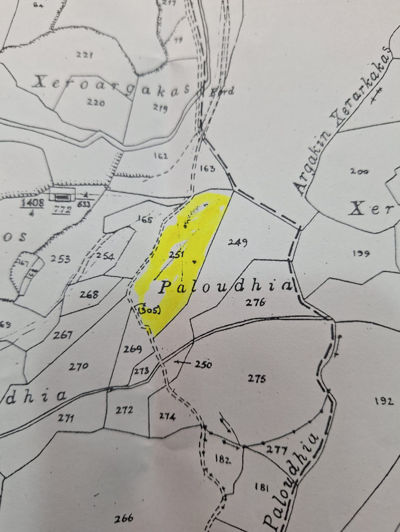 Image No.2-Land for sale