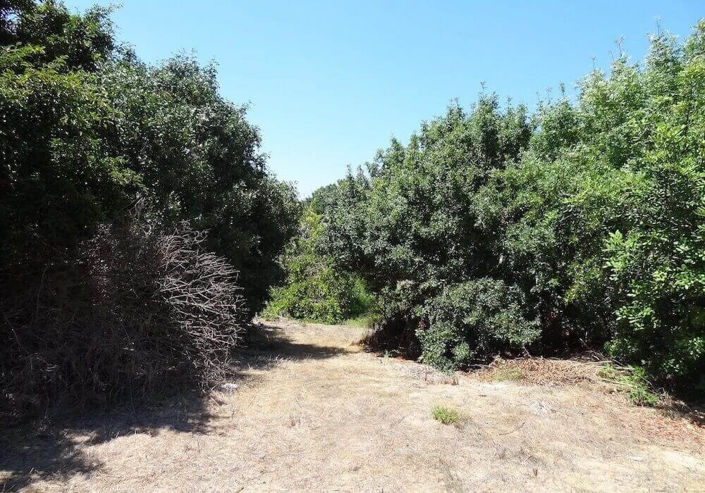 Image No.4-Plot for sale