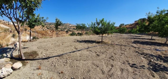 Image No.2-Land for sale