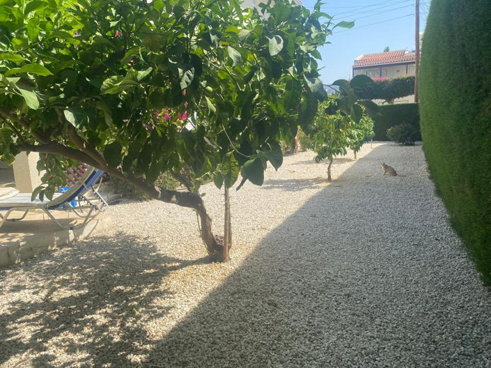 Image No.14-3 Bed Villa for sale