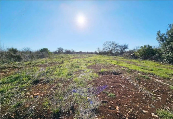 Image No.13-2 Bed Bungalow for sale