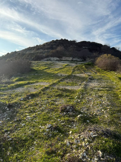 Image No.3-Plot for sale